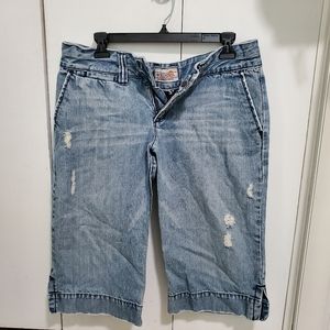 Vintage Hollister Bermuda Shorts